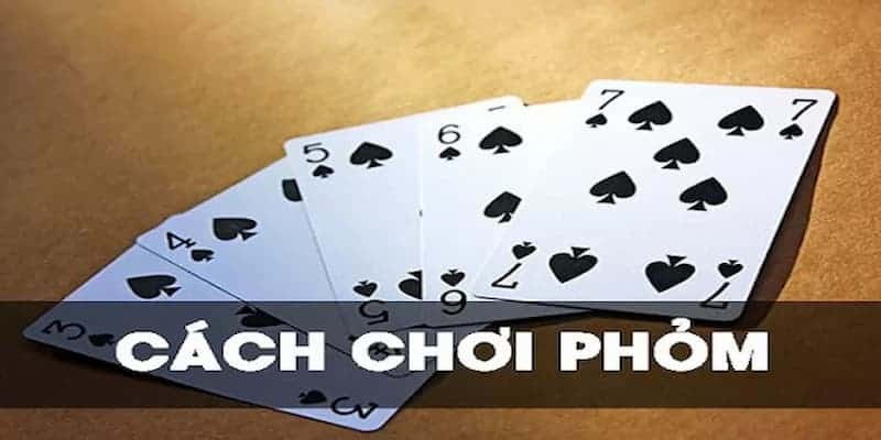 Chiến thuật - cách chơi bài phỏm giỏi theo từng giai đoạn của ván bài