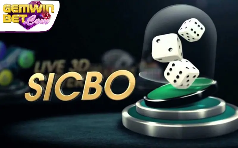 Tựa game Sicbo có gì nổi bật Tựa game Sicbo có gì nổi bật